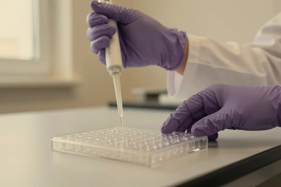 Gloved hands using a pipette over a well plate.