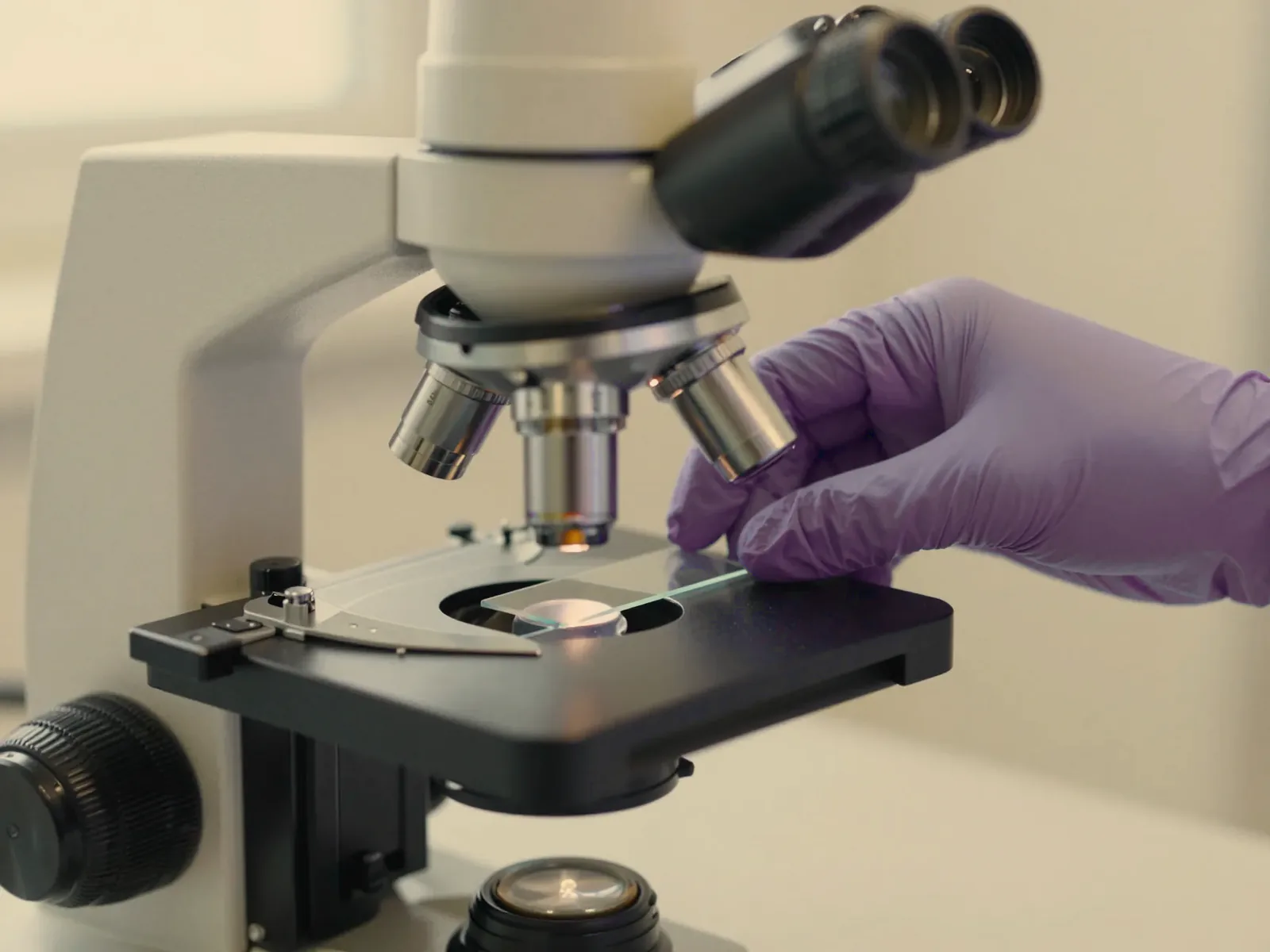A gloved hand placing a slide on a microscope stage.